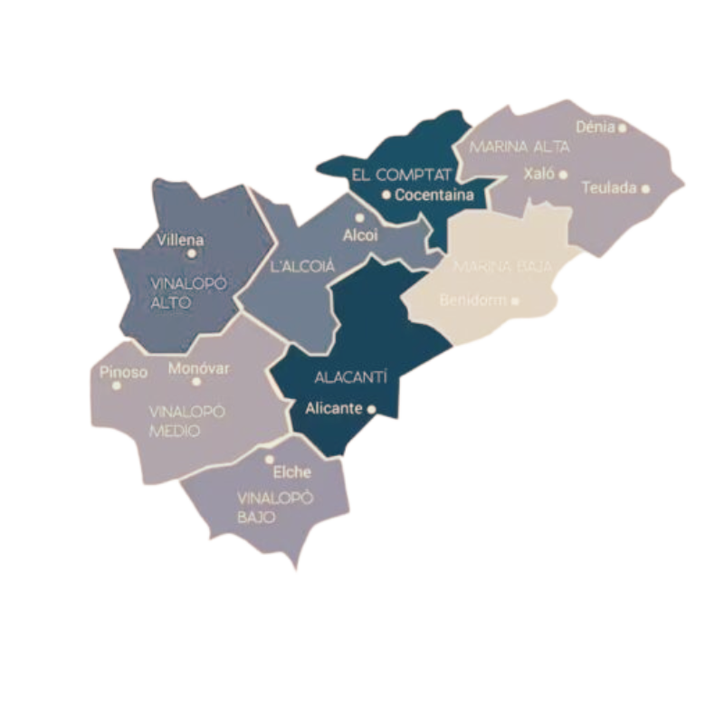 Seguro Decenal Alicante
