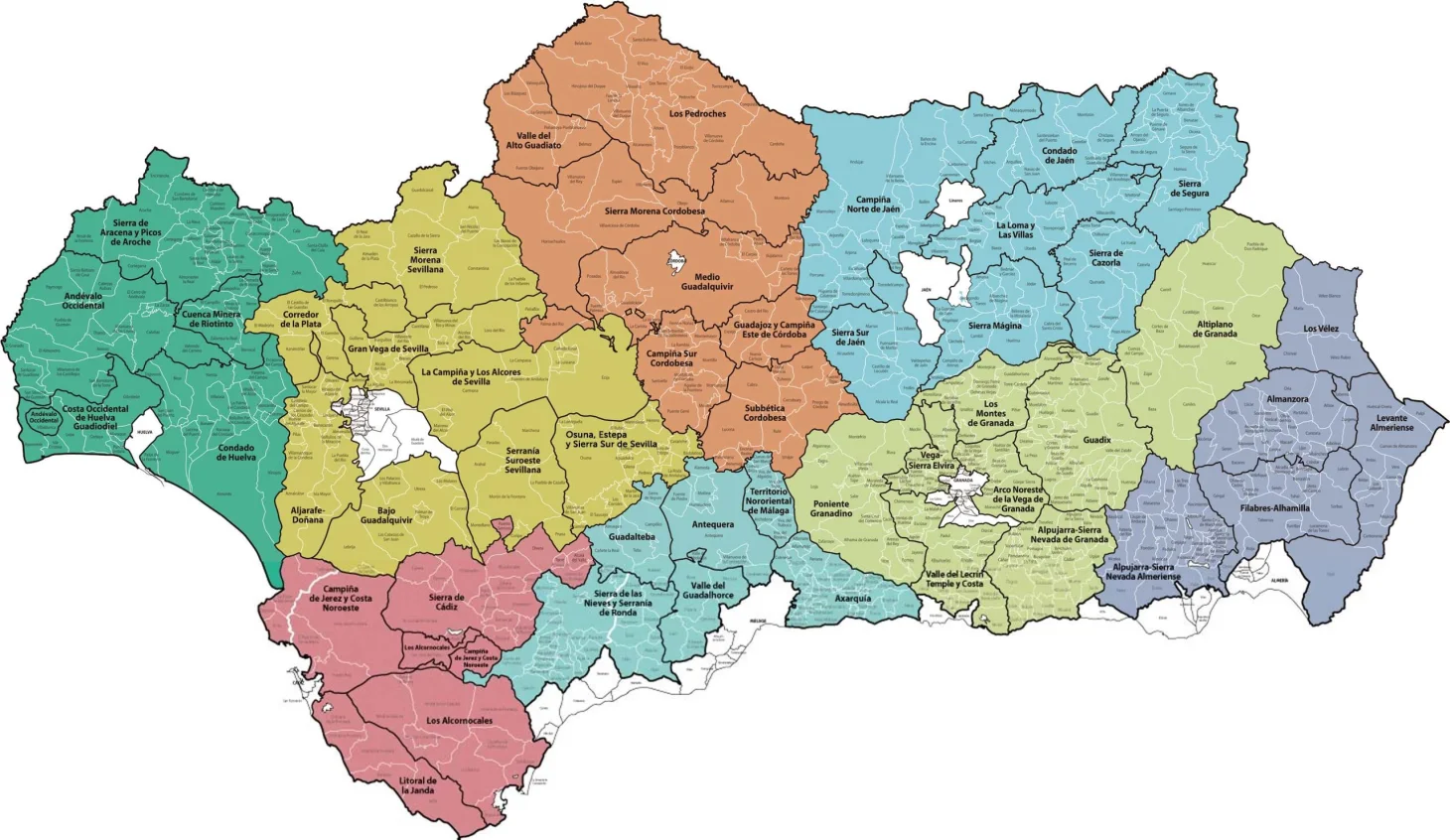 seguro decenal barato en Andalucía